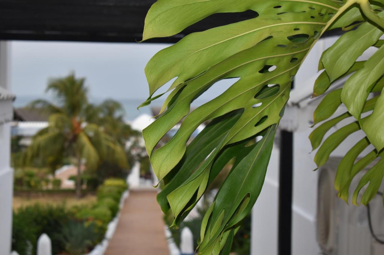 Kendwa Beach Resort Exteriér fotografie