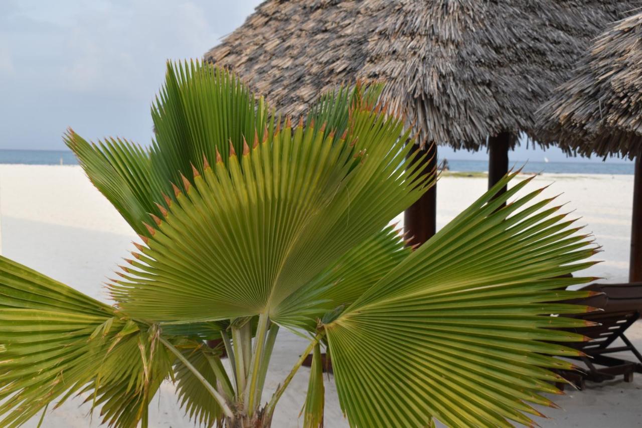 Kendwa Beach Resort Exteriér fotografie