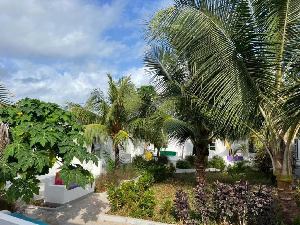 Kendwa Beach Resort Exteriér fotografie